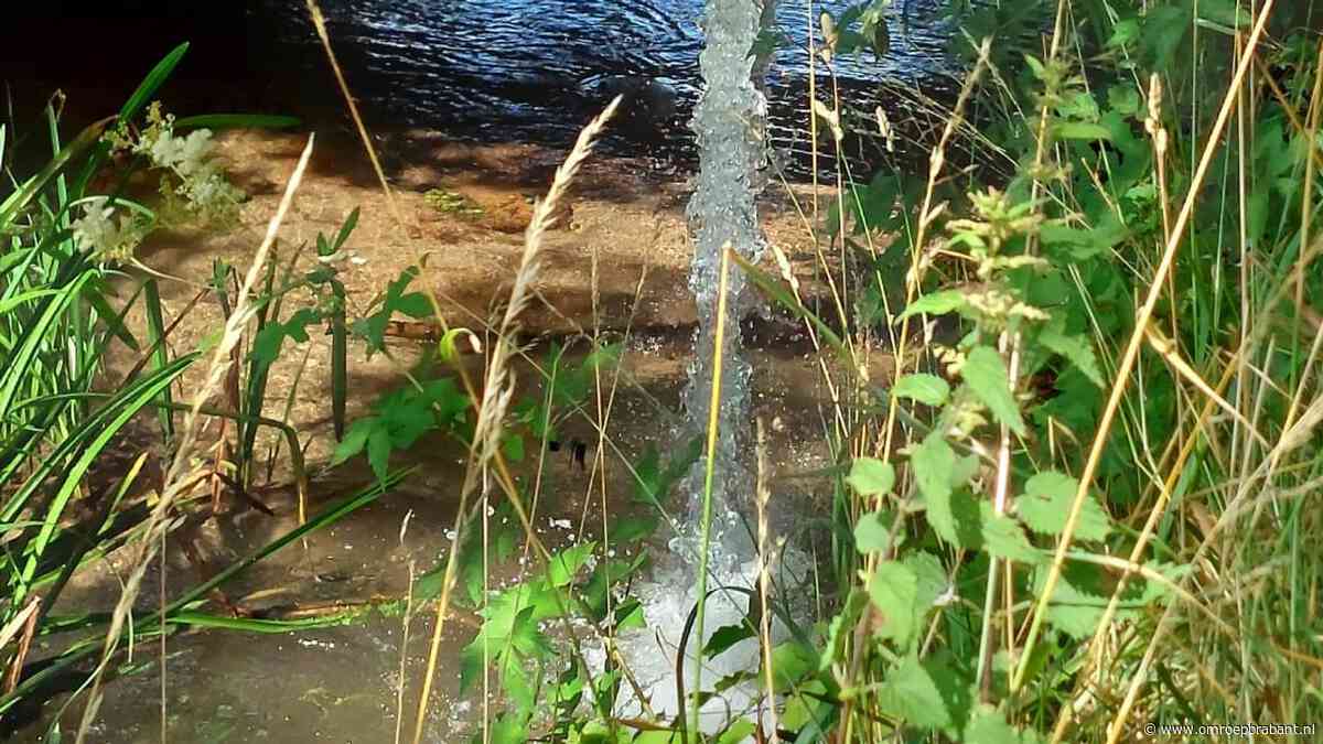 Waterschap De Dommel ontdekt overtredingen onttrekkingsverbod