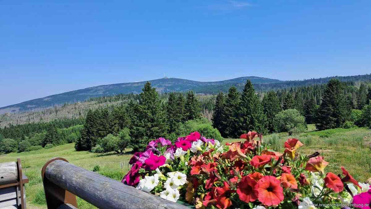 Die 10 Restaurants und Cafés im Harz mit der schönsten Aussicht