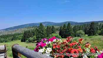 Die 10 Restaurants und Cafés im Harz mit der schönsten Aussicht