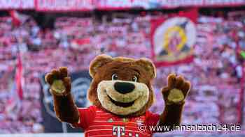 Maskottchen „Berni“ kommt am 8. August zum Turnier nach Niederbergkirchen