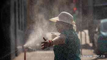 Extreme heat, wildfire smoke prompt weather warnings across B.C.