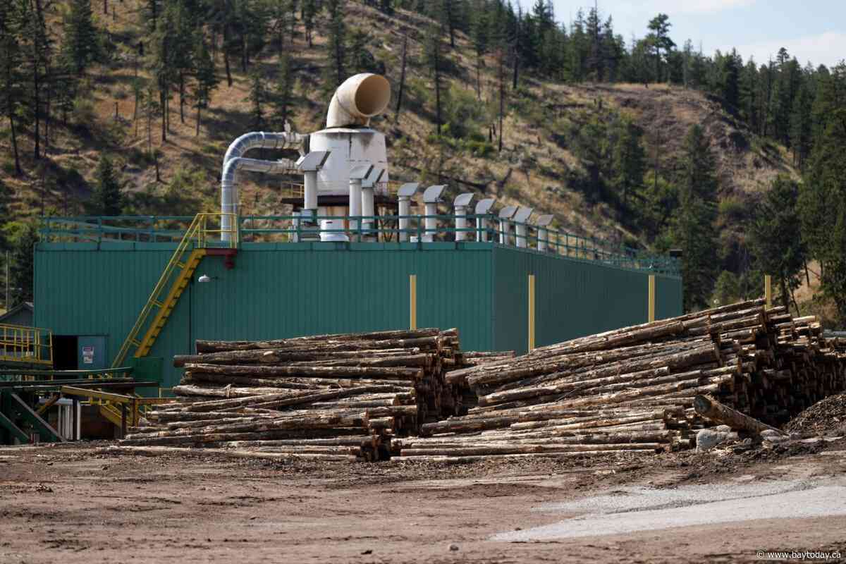 Canadian forest sector faces another blow with new U.S. tariff onslaught