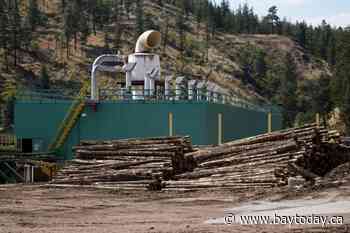 Canadian forest sector faces another blow with new U.S. tariff onslaught