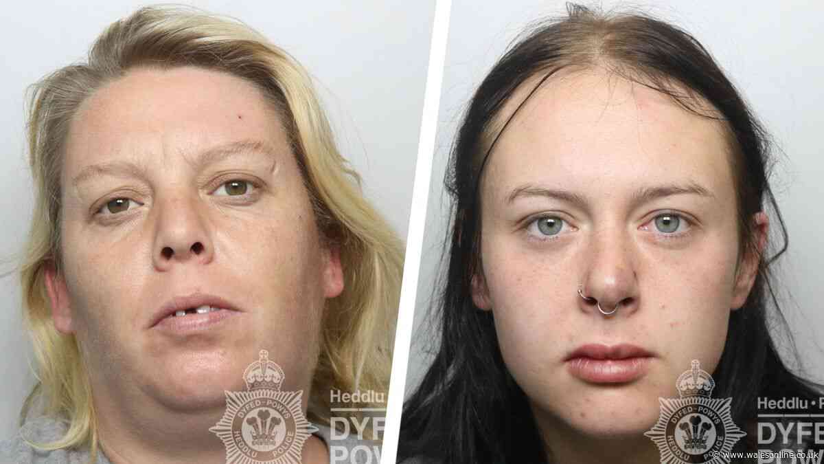 Knife wielding women chased man around house and stabbed him - one was the mother of his child