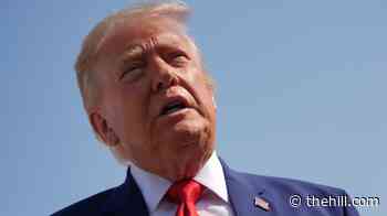 6 in 10 Americans disapprove of Trump's job performance: Survey