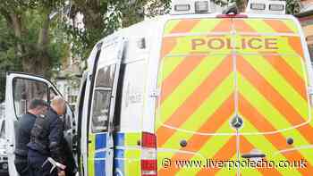 Woman, 70, and man, 68, arrested in dawn raid in Dingle