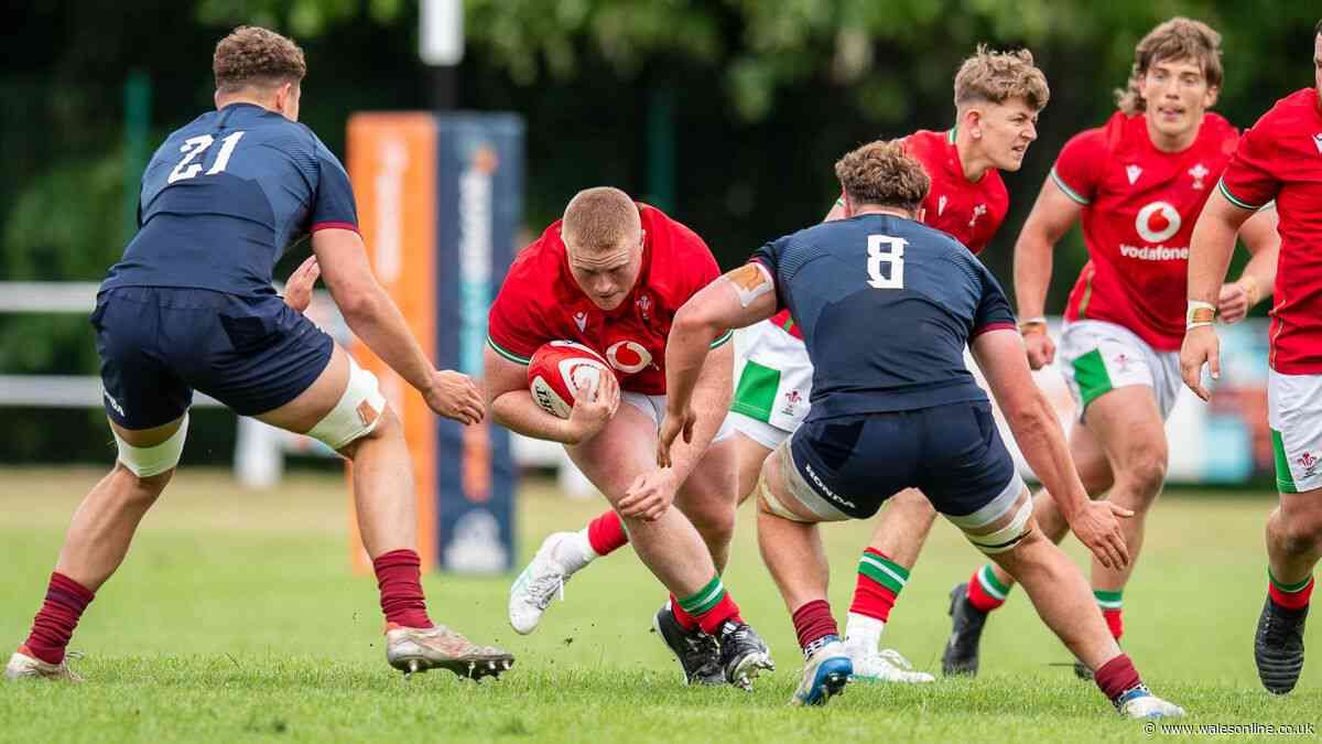Welsh rugby has nine new players who have got Wales coaches very excited