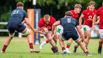 Welsh rugby has nine new players who have got Wales coaches very excited