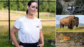 Crocodiles, venomous snakes, wildcats and Bisons... oh my! Over 100 dangerous animals are being kept LEGALLY as pets