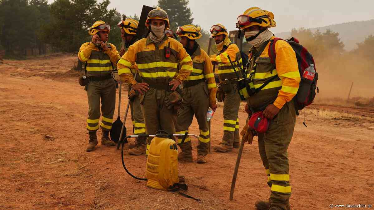 Waldbrände in Südeuropa: Der komplexe Kampf gegen das Feuer