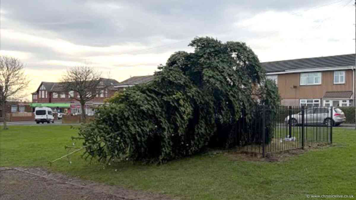 Second man charged with criminal damage for felling of County Durham Christmas tree avoids jail