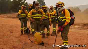Waldbrände in Südeuropa: Der komplexe Kampf gegen das Feuer
