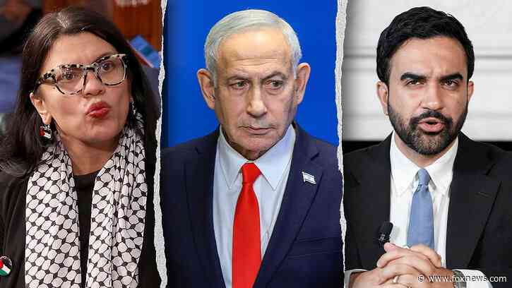 WATCH: Tlaib tells Mamdani to 'call me' for help arresting Netanyahu as Democrats remain divided