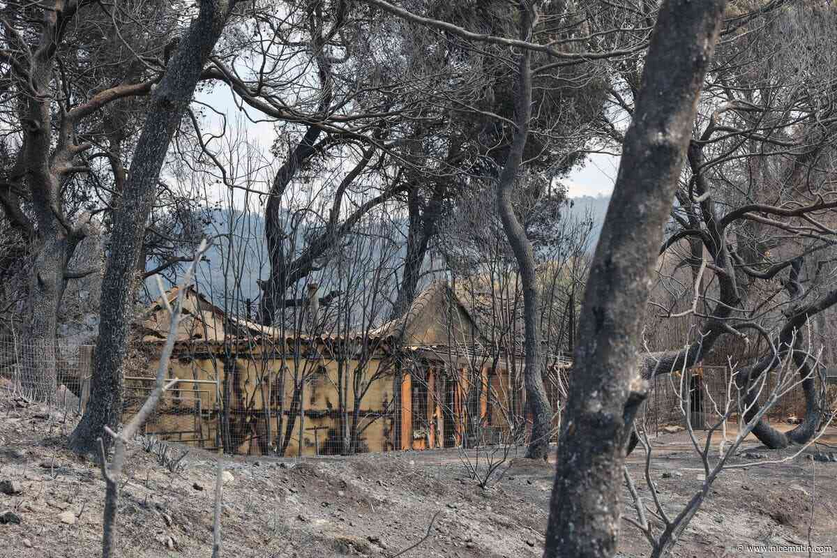 « Partout où ça fume, il peut y avoir une reprise » : la lutte harassante des pompiers contre l’incendie dans le Var, des kilomètres de forêt brûlés autour de Pontevès