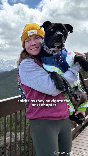 They Found Him Blind, Frostbitten And Wagging His Tail | The Dodo