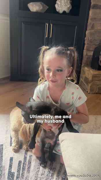 Breeder Leaves Frenchie By Side Of The Road For Being "Contagious" | The Dodo