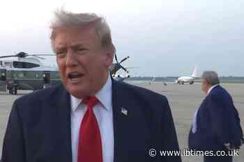 Trump Look-Alike Appears Behind President on Air Force One, Leaving Social Media Baffled: Who Is This Guy?