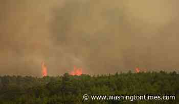 Firefighters battle one of Spain's biggest-ever wildfires during heat wave across the Mediterranean