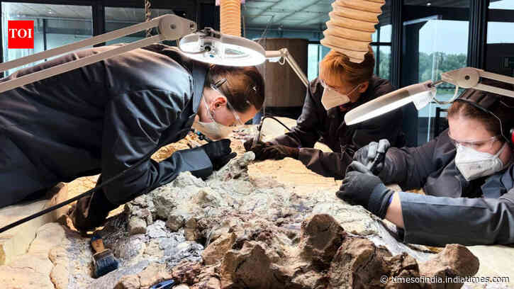 Scientists found a 2,865-pound predator from before dinosaurs ruled Earth