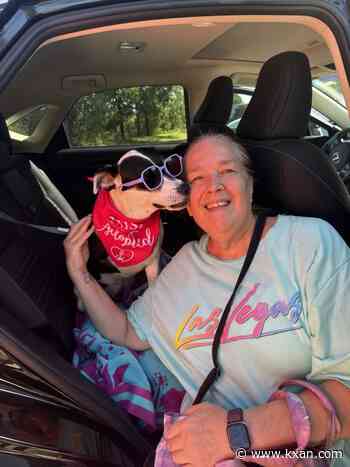Kerrville Pets Alive! reunites lost animals in floods with their owners
