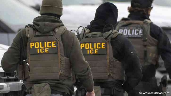 Illegal immigrant top Dem fought to free turns up on voter rolls: 'mockery of our immigration laws'