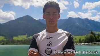 Swansea City announce World Cup star as third summer signing