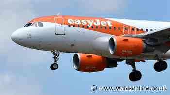 'Mass brawl' breaks out mid-air forcing easyJet flight to turn back to Tenerife