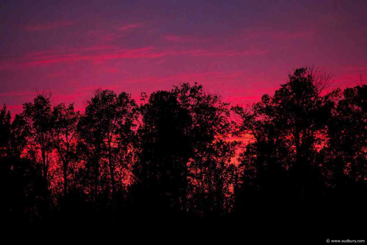 Wildfires not resulting in severe losses for insurance industry: Morningstar DBRS