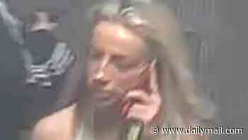 Woman wanted after two train passengers are slapped on a late-night service: Police release CCTV image