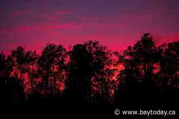 Wildfires not resulting in severe losses for insurance industry: Morningstar DBRS