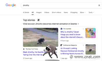 Jimothy, the Viral Raccoon, Scurries Across Your Screen in Google Animation