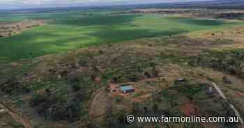 Well developed, exclusion fenced country lifts Pye's meat sheep production