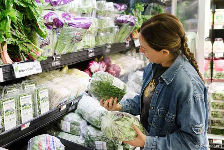 Is it safe to eat lettuce? Upper Valley experts answer key questions on cyclosporiasis outbreak