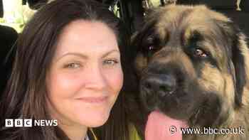 Family rage at unlicensed sitter after dog dies
