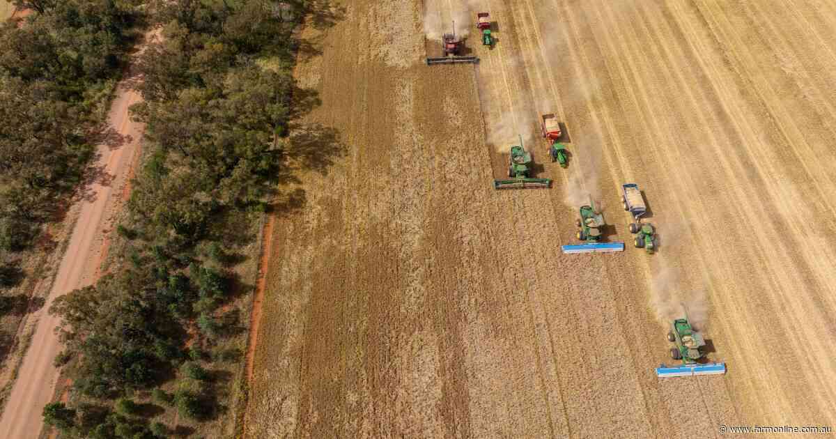 The complex truth behind Australia's global wheat price reputation