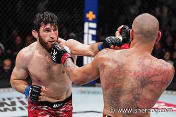 Magomed Ankalaev admits he ignored team's pleas before Alex Pereira KO