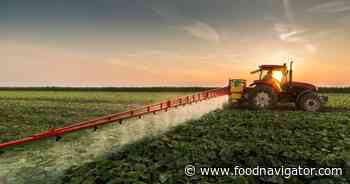 EFSA slashes TFA safety limits amid food contamination concerns
