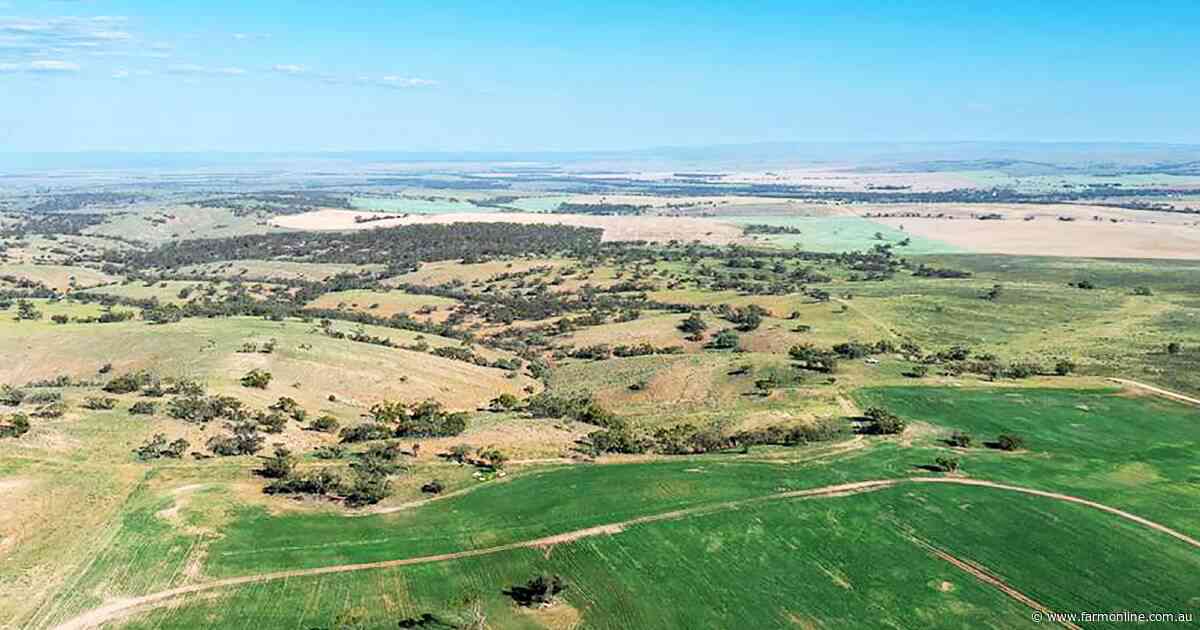 A 750ha SA grazing farm has hit the market with room to grow