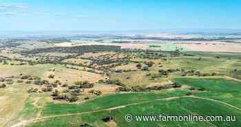 A 750ha SA grazing farm has hit the market with room to grow