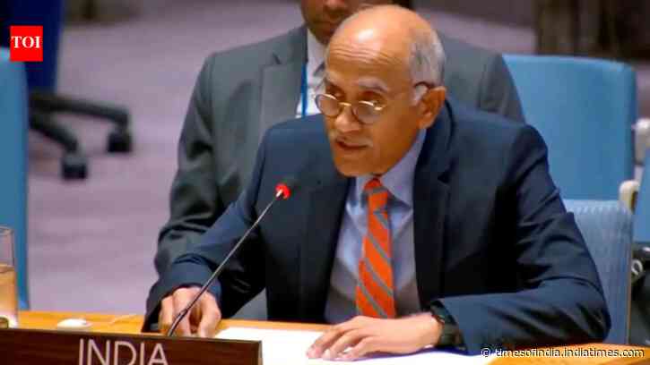 'Put your own house in order': India slams Pakistan over crossborder terror at UN