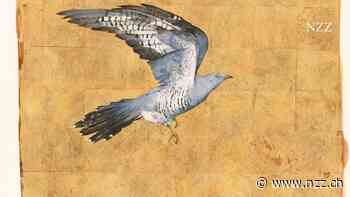 Weshalb erscheinen uns Vögel oft nervös, aber selbstbewusst? Weil sie fliegen können, weil sie weiter sehen und schon länger da sind