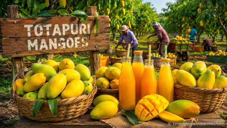 More pulp, less tax: Govt panel hits the sweet spot with 'aam' proposal to help Totapuri farmers
