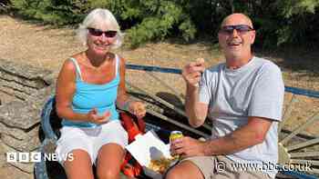 Why should beachgoers avoid feeding seagulls?