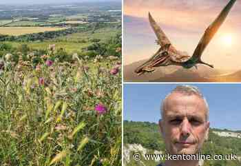 Mystery donor buys £320k former chalk pits once home to flying reptiles