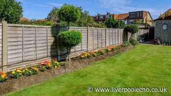 Who owns your garden fence? How to check boundary responsibility and avoid disputes
