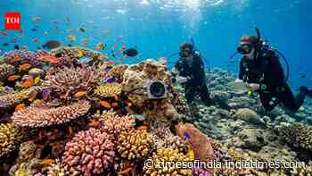 A silent coral reef came back to life after scientists played recordings of healthy reefs underwater