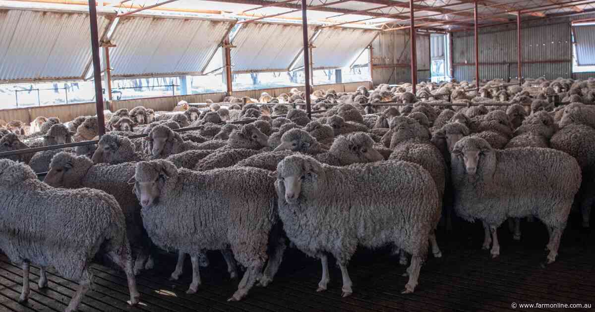 Wool shake-up: AWEX and AWTA merger discussions officially back on the table