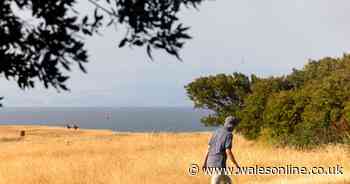 Shocking state of parks and beauty spots as heatwave turns Wales yellow