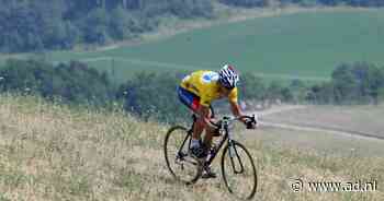 Etappe 18: door een zware val van welke renner moest Armstrong in 2003 door het gras?