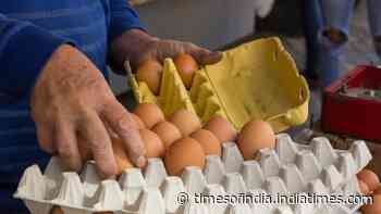The surprising reason supermarket eggs are always stored outside in India but refrigerated in many Western countries​